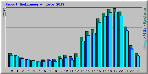 Raport Godzinowy -  luty 2019
