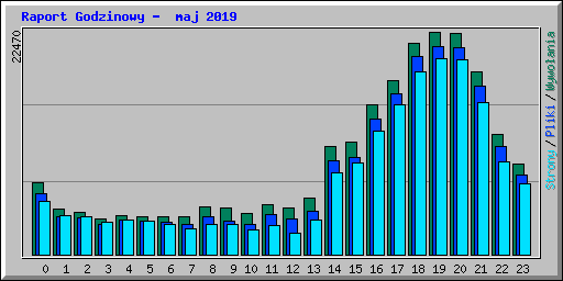 Raport Godzinowy -  maj 2019