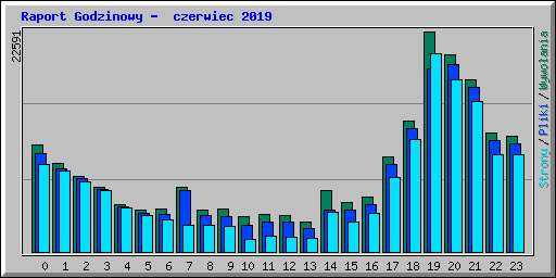 Raport Godzinowy -  czerwiec 2019