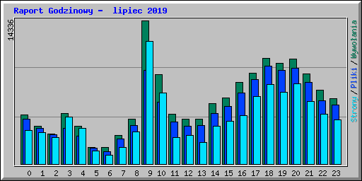 Raport Godzinowy -  lipiec 2019