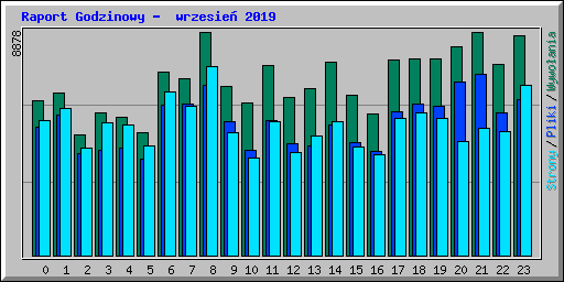 Raport Godzinowy -  wrzesie� 2019
