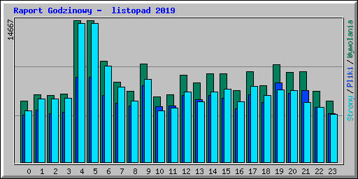 Raport Godzinowy -  listopad 2019