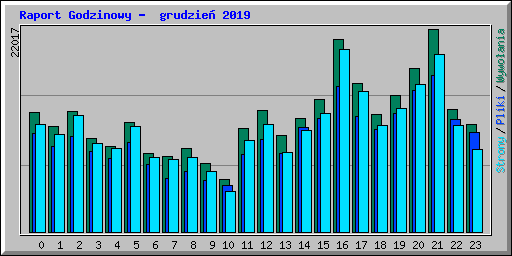 Raport Godzinowy -  grudzie� 2019