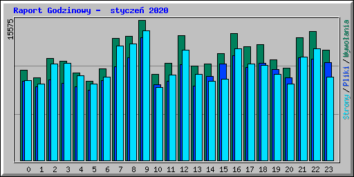 Raport Godzinowy -  stycze� 2020