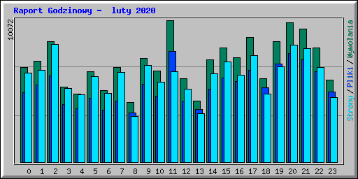 Raport Godzinowy -  luty 2020