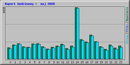 Raport Godzinowy -  maj 2020