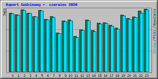 Raport Godzinowy -  czerwiec 2020