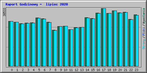 Raport Godzinowy -  lipiec 2020
