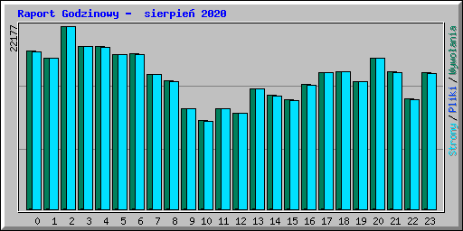 Raport Godzinowy -  sierpie� 2020