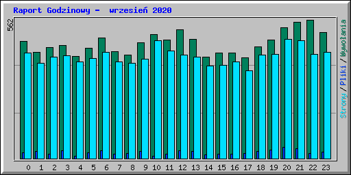 Raport Godzinowy -  wrzesie� 2020