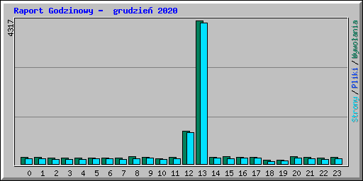 Raport Godzinowy -  grudzie� 2020