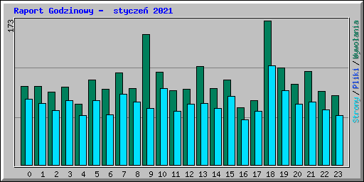 Raport Godzinowy -  stycze� 2021