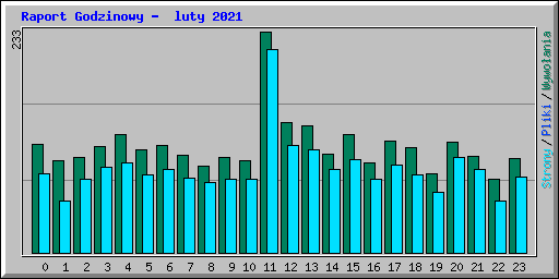 Raport Godzinowy -  luty 2021