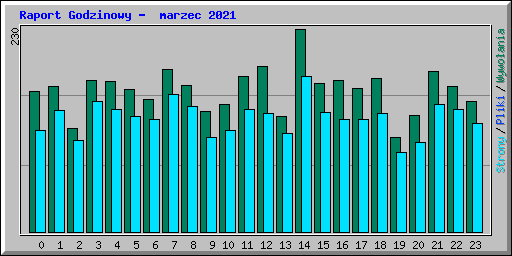 Raport Godzinowy -  marzec 2021