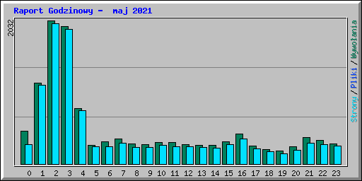 Raport Godzinowy -  maj 2021