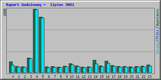 Raport Godzinowy -  lipiec 2021