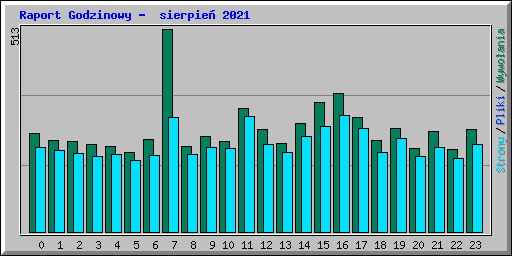 Raport Godzinowy -  sierpie� 2021