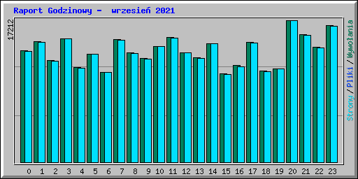 Raport Godzinowy -  wrzesie� 2021