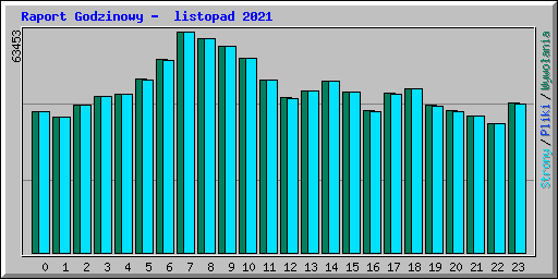 Raport Godzinowy -  listopad 2021