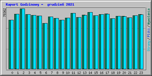 Raport Godzinowy -  grudzie� 2021