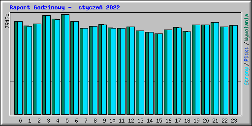 Raport Godzinowy -  stycze� 2022