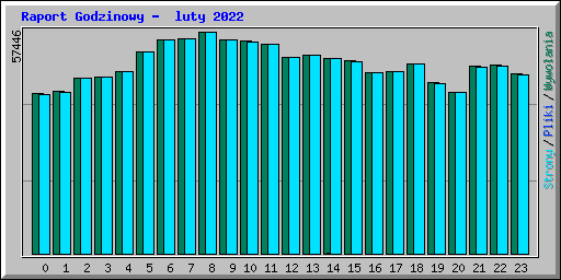 Raport Godzinowy -  luty 2022