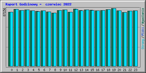 Raport Godzinowy -  czerwiec 2022