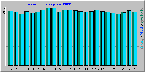 Raport Godzinowy -  sierpie� 2022