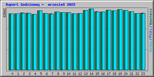 Raport Godzinowy -  wrzesie� 2022