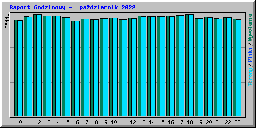 Raport Godzinowy -  pa�dziernik 2022
