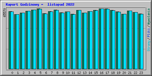 Raport Godzinowy -  listopad 2022