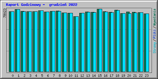 Raport Godzinowy -  grudzie� 2022