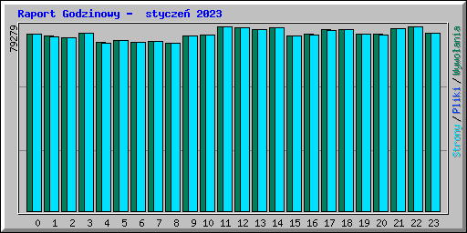 Raport Godzinowy -  stycze� 2023