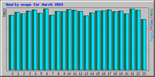 Hourly usage for March 2023