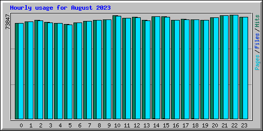Hourly usage for August 2023