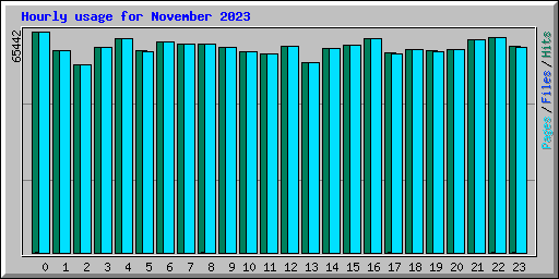 Hourly usage for November 2023