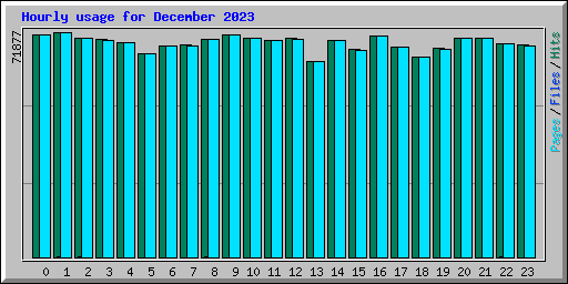 Hourly usage for December 2023