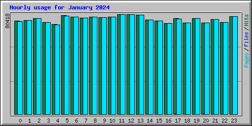 Hourly usage for January 2024