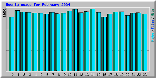 Hourly usage for February 2024