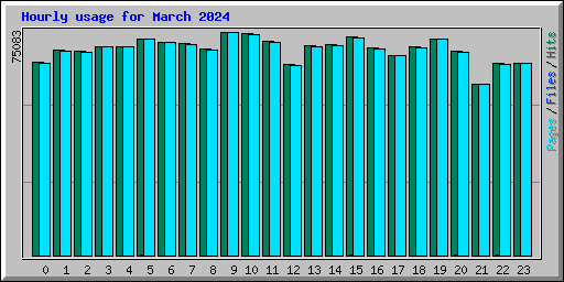 Hourly usage for March 2024