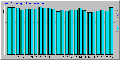 Hourly usage for June 2024