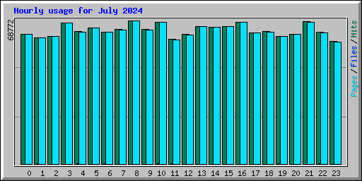 Hourly usage for July 2024