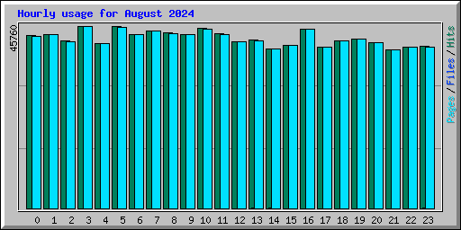 Hourly usage for August 2024