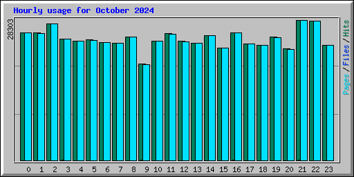 Hourly usage for October 2024
