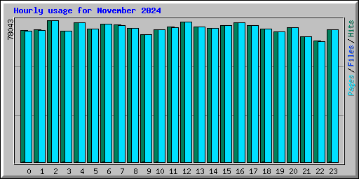 Hourly usage for November 2024