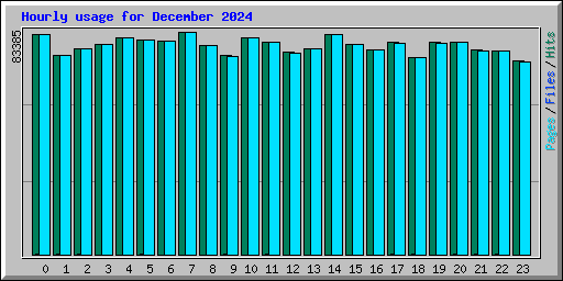 Hourly usage for December 2024