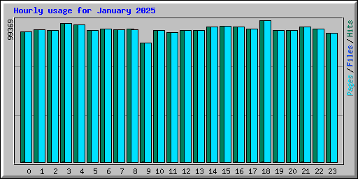 Hourly usage for January 2025