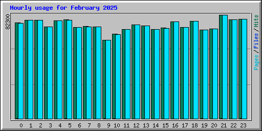 Hourly usage for February 2025