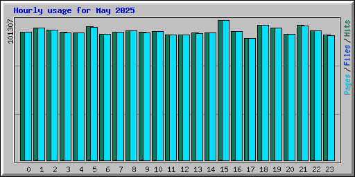 Hourly usage for May 2025