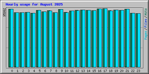 Hourly usage for August 2025
